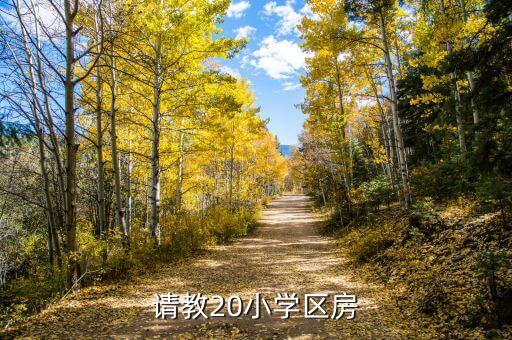 请教20小学区房