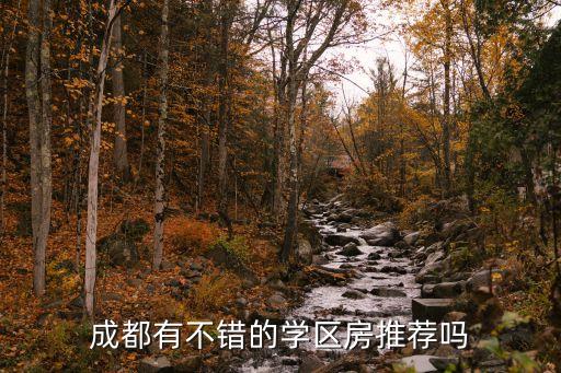 成都有不错的学区房推荐吗
