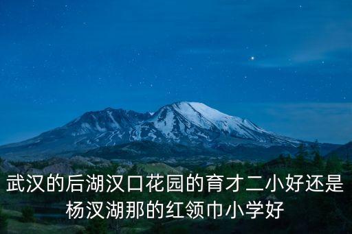 武汉的后湖汉口花园的育才二小好还是杨汊湖那的红领巾小学好
