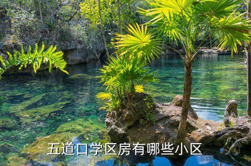 五道口学区房有哪些小区