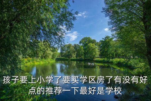 孩子要上小学了要买学区房了有没有好点的推荐一下最好是学校