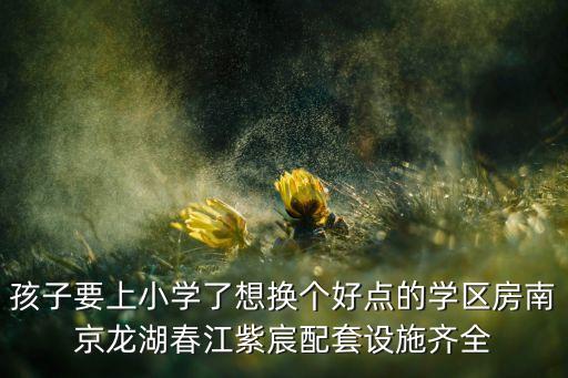 孩子要上小学了想换个好点的学区房南京龙湖春江紫宸配套设施齐全