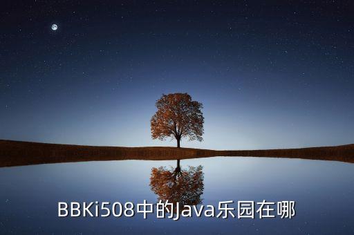 BBKi508中的Java乐园在哪