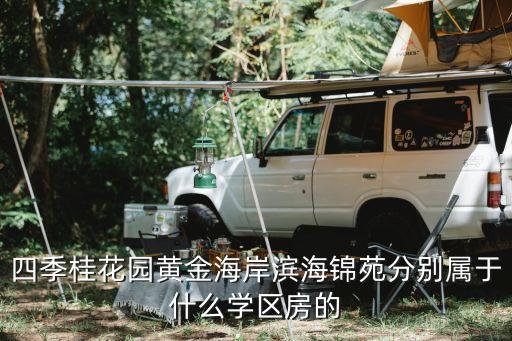 龙凤区哪个小区是学区房，苏苑新村东南北小区是苏苑中学和苏苑小学的学区房吗