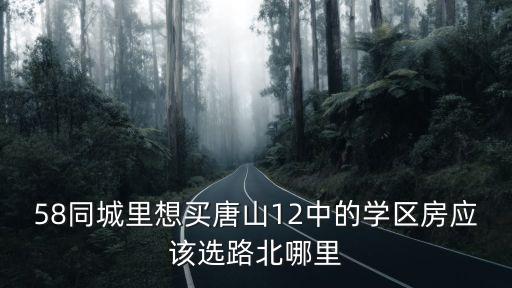 58同城里想买唐山12中的学区房应该选路北哪里