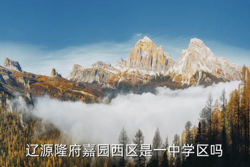 辽源隆府嘉园西区是一中学区吗