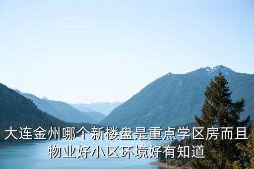 大连金州哪个新楼盘是重点学区房而且物业好小区环境好有知道