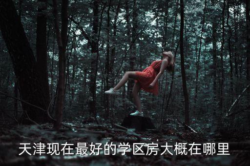 天津哪个区学区房性价比高，天津现在最好的学区房大概在哪里