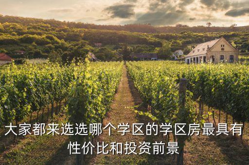 大家都来选选哪个学区的学区房最具有性价比和投资前景
