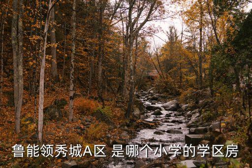 鲁能领秀城A区 是哪个小学的学区房
