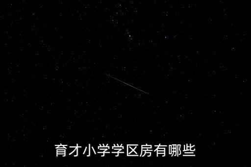 育才小学学区房有哪些