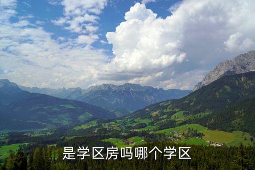 是学区房吗哪个学区