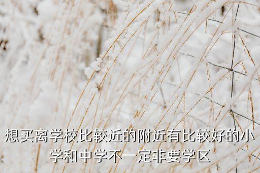 想买离学校比较近的附近有比较好的小学和中学不一定非要学区