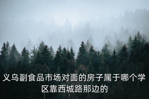 义乌副食品市场对面的房子属于哪个学区靠西城路那边的