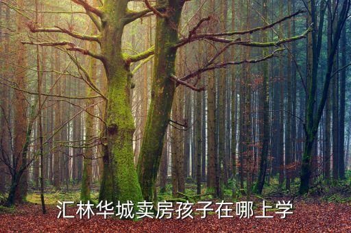 汇林华城卖房孩子在哪上学