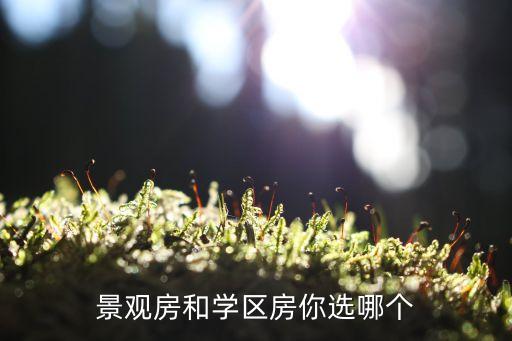 景观房和学区房你选哪个