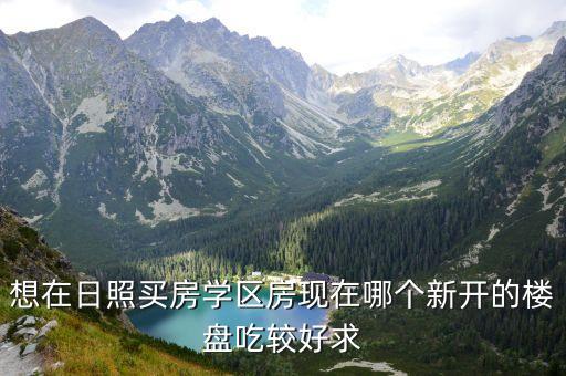 想在日照买房学区房现在哪个新开的楼盘吃较好求
