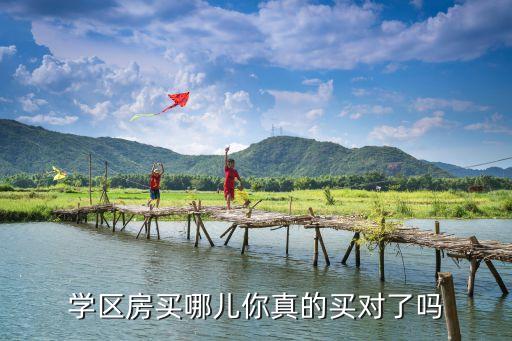 买房子哪个位置是学区房，学区房买哪儿你真的买对了吗