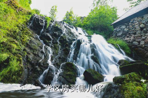 广州市哪个学区房好卖点，广州市萝岗区科学城附近有什么好的小学附近有什么楼盘