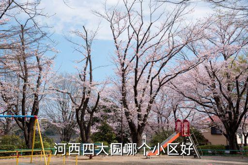 河西四大园哪个小区好