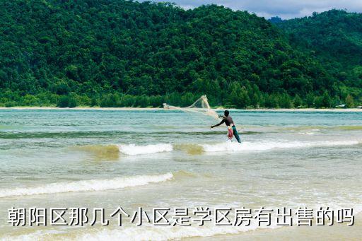 朝阳区那几个小区是学区房有出售的吗