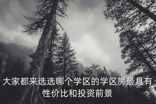 大家都来选选哪个学区的学区房最具有性价比和投资前景