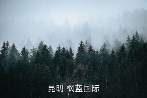 昆明 枫蓝国际