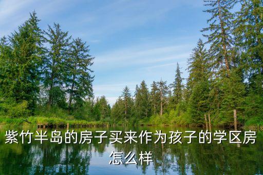 紫竹半岛的房子买来作为孩子的学区房怎么样