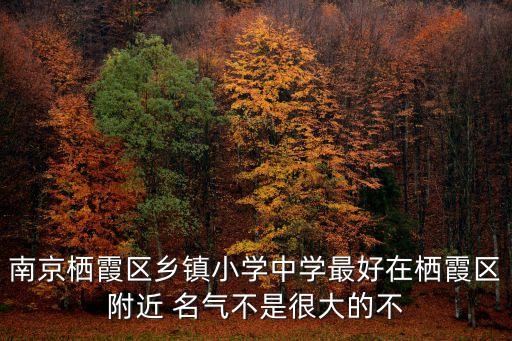 南京栖霞区乡镇小学中学最好在栖霞区附近 名气不是很大的不