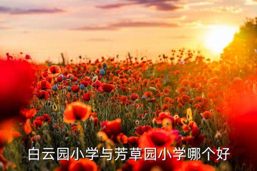 白云园小学与芳草园小学哪个好