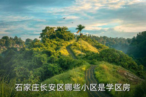 石家庄长安区哪些小区是学区房