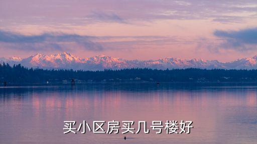 学区房一般买哪个楼层，学区房电梯楼几层最好买几层的人最多