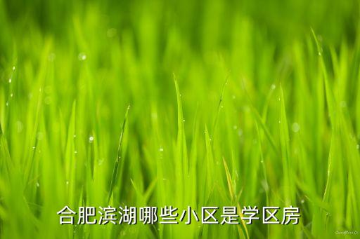 合肥滨湖哪些小区是学区房