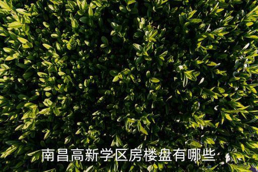 东湖高新有哪些学区房，东湖高新左岭新城中学对口高中是