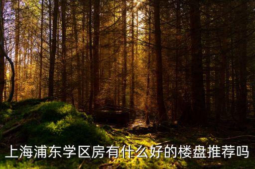 上海浦东学区房有什么好的楼盘推荐吗