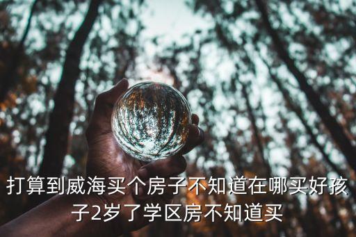 打算到威海买个房子不知道在哪买好孩子2岁了学区房不知道买