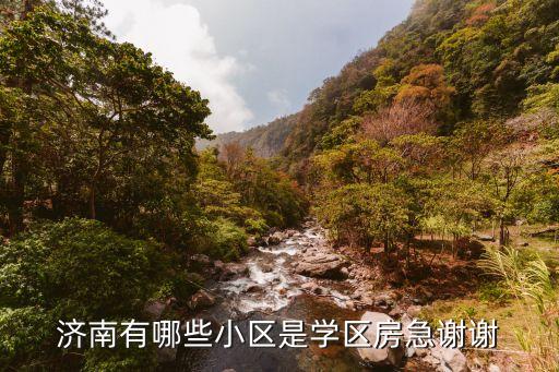 济南有哪些小区是学区房急谢谢
