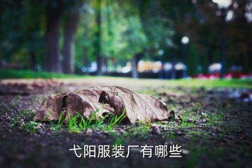 弋阳服装厂有哪些