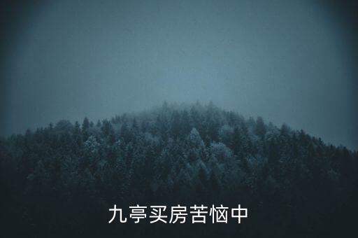 九亭买房苦恼中