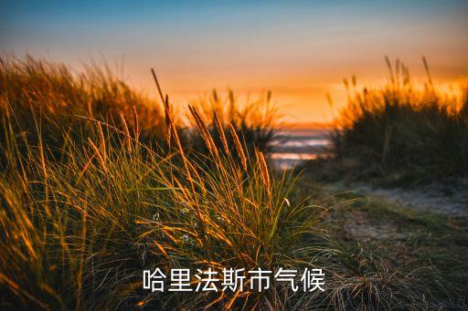 哈里法斯市气候