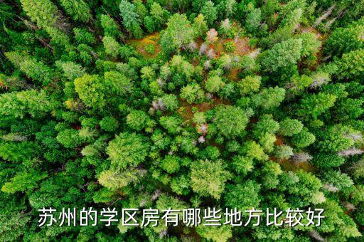 苏州的学区房有哪些地方比较好