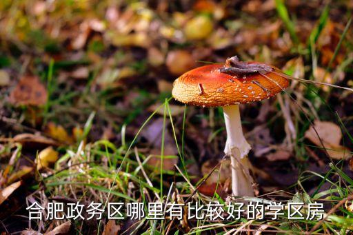 合肥政务区哪里有比较好的学区房