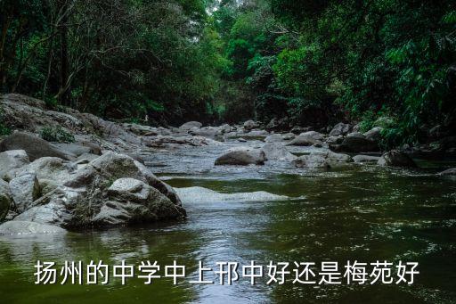 扬州的中学中上邗中好还是梅苑好