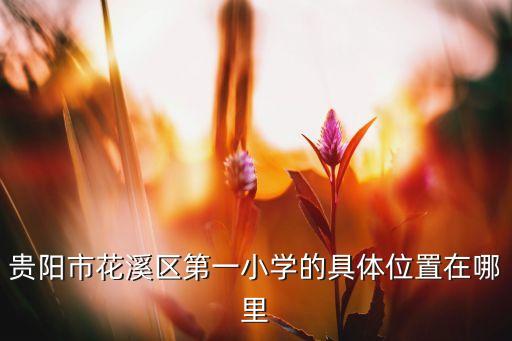 贵阳市花溪区第一小学的具体位置在哪里