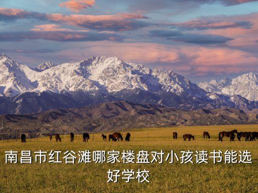 南昌市红谷滩哪家楼盘对小孩读书能选好学校