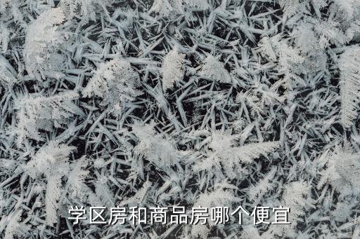 学区房和商品房哪个便宜