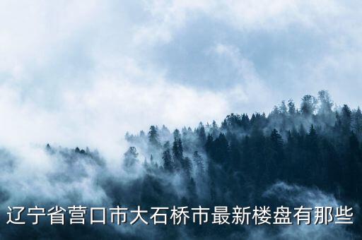 辽宁省营口市大石桥市最新楼盘有那些