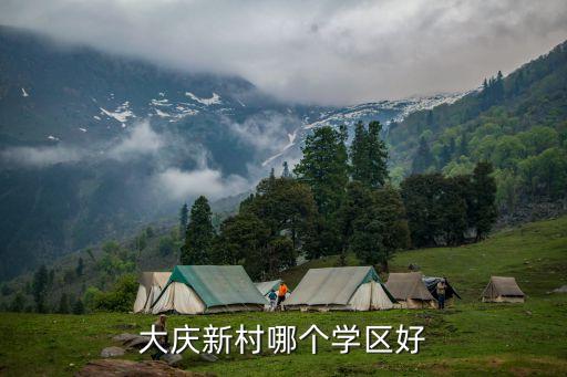 大庆新村哪个学区好