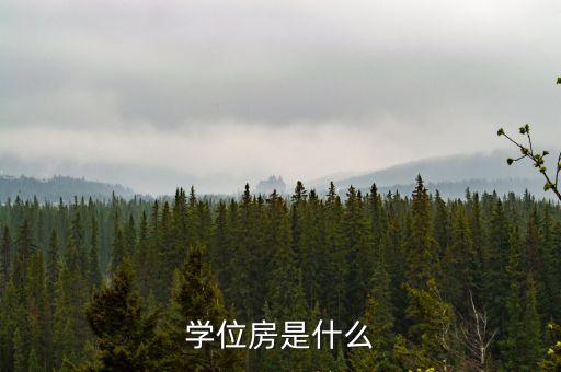 学位房是什么