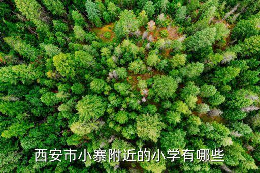 西安小寨学区房哪个好，西安市小寨附近的小学有哪些